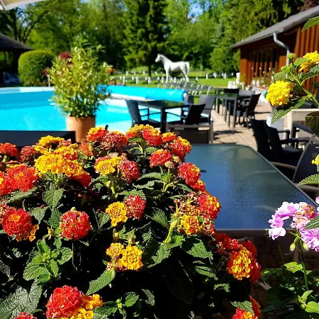 Hotel Eifelsteig Roetgen